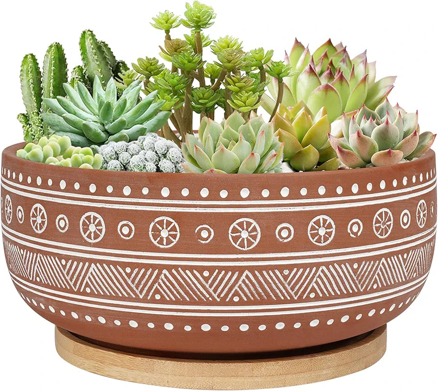 8 Inch Terracotta Succulent Planter Pot with Drainage Hole and Bamboo Tray, Round Shallow Bonsai ... | Amazon (US)