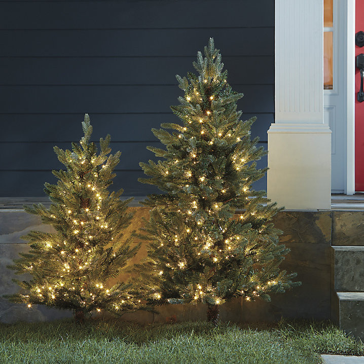 Staked Twinkling Fraser Fir Tree with LED Lights & Iron Stake for Outdoor Display | Ballard Designs, Inc.