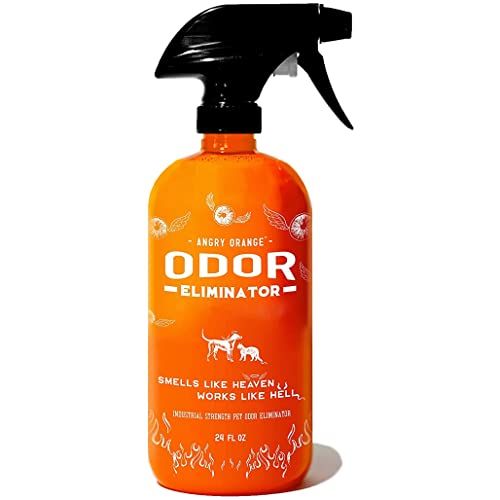 ANGRY ORANGE Pet Odor Eliminator for Strong Odor - Citrus Deodorizer for Dog or Cat Urine Smells on  | Amazon (US)