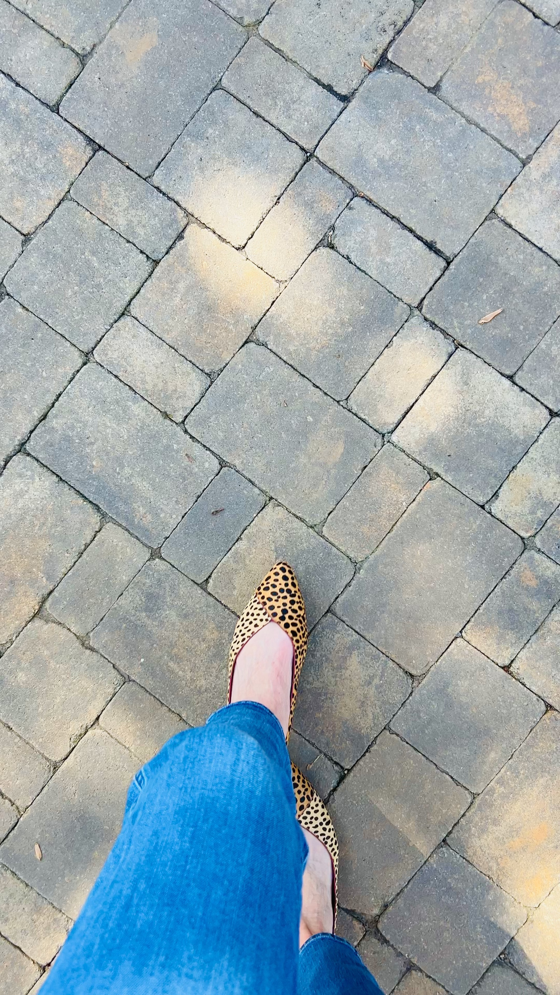 My favorite shoe brand in a fun little leopard print!  Always comfortable! IYKYK #leopard #birdies

#LTKstyletip #LTKshoecrush
