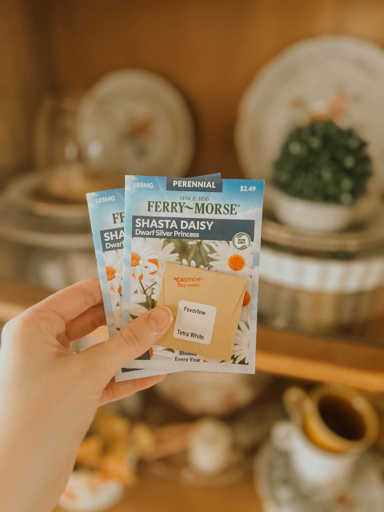 Some of my favorite flower seeds to plant! Bring on spring, flowers, and garden goodies.

#LTKHome #LTKSeasonal #LTKSaleAlert