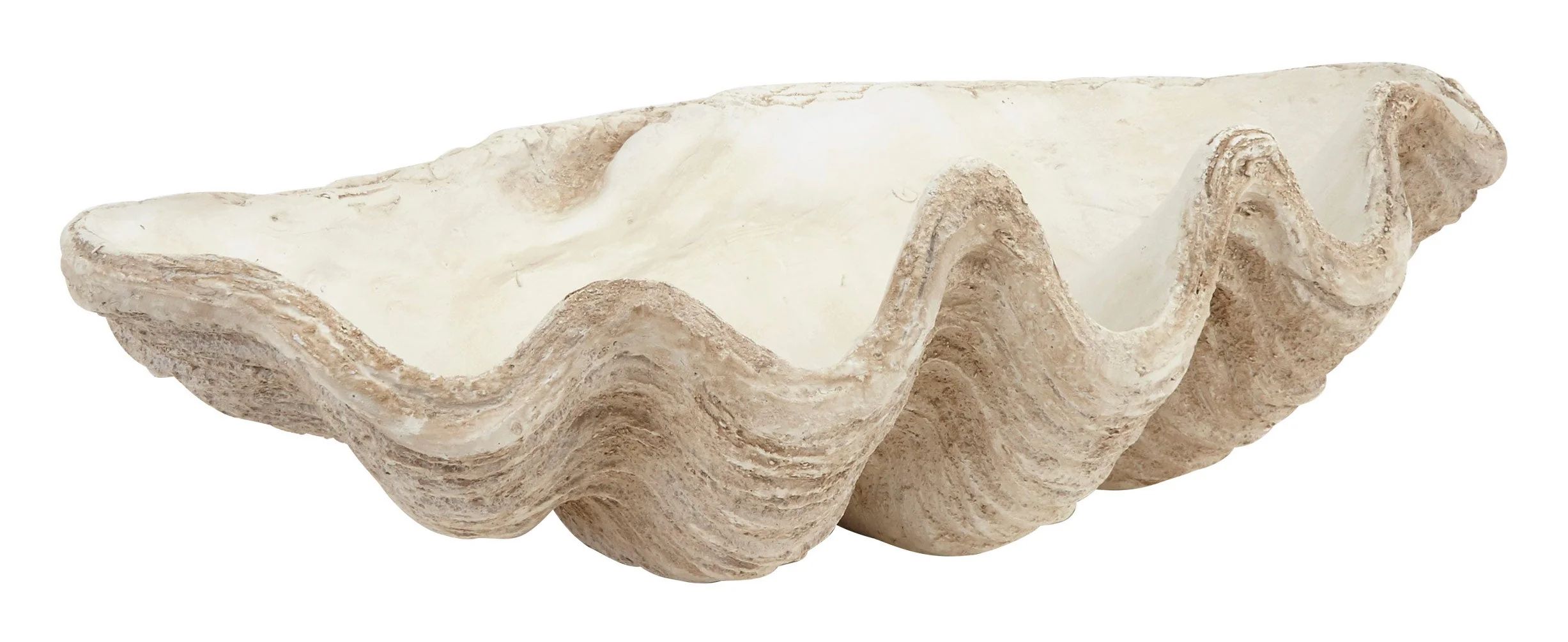 Faux Shell | Jayson Home