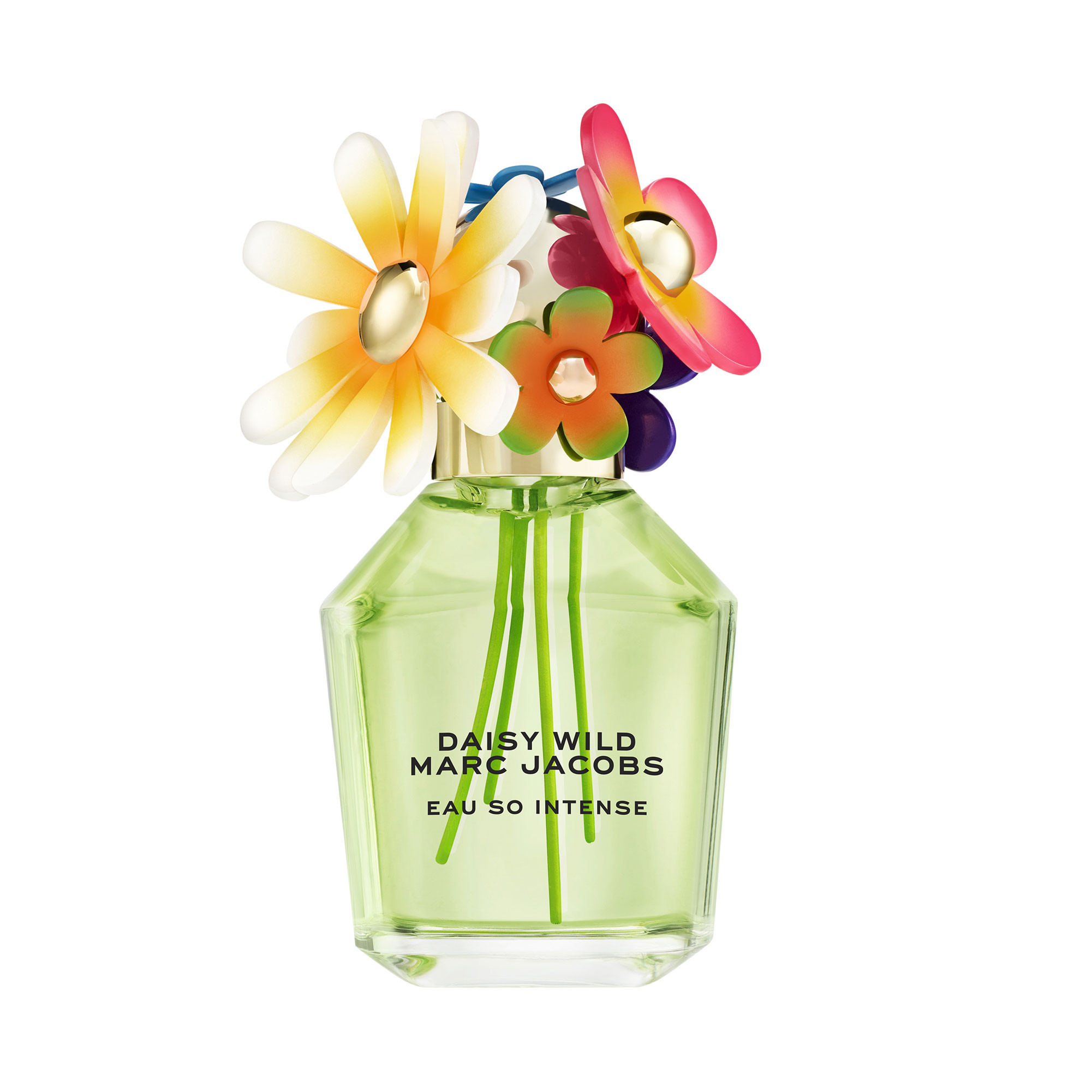 Marc Jacobs Daisy Wild Eau So Intense Eau de Parfum | Arnotts