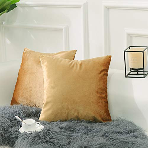 Home Brilliant Gold Velvet Pillow Covers Decorative Pillow Cases for Couch Car Living Room Patio for Gift, Set of 2(45x45 cm, 18x18 inches), Gold | Amazon (US)
