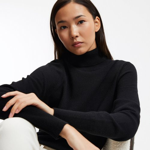 Cashmere Fine Knit Jumper with Turtleneck | La Redoute (UK)