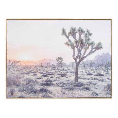 Joshua Tree By Dean Mayo Framed Canvas Wall Art | World Market