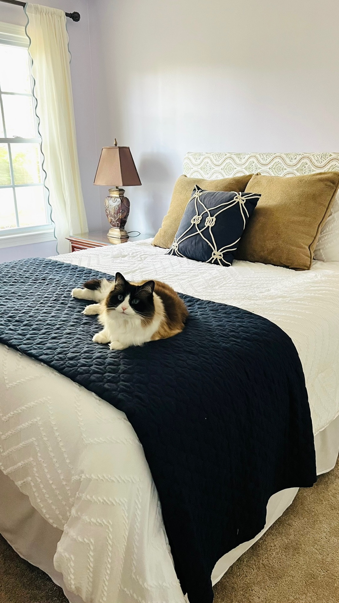 Guest Room || Traditional Decor || Grandmillennial Home 

#LTKHome