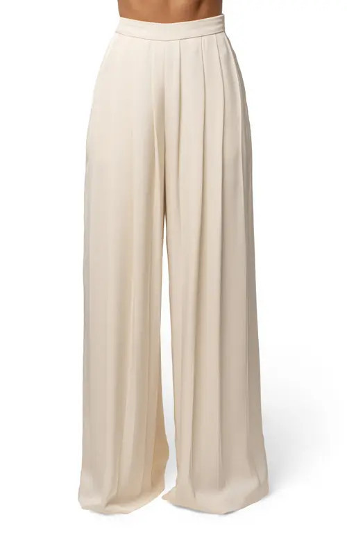 JLUXLABEL Clara Pleated Wide Leg Trousers in Cream at Nordstrom, Size Large | Nordstrom