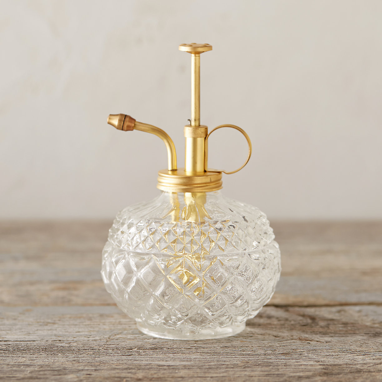 Cut Glass Plant Mister | Terrain