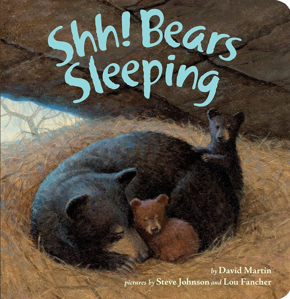 Shh! Bears Sleeping | Amazon (US)