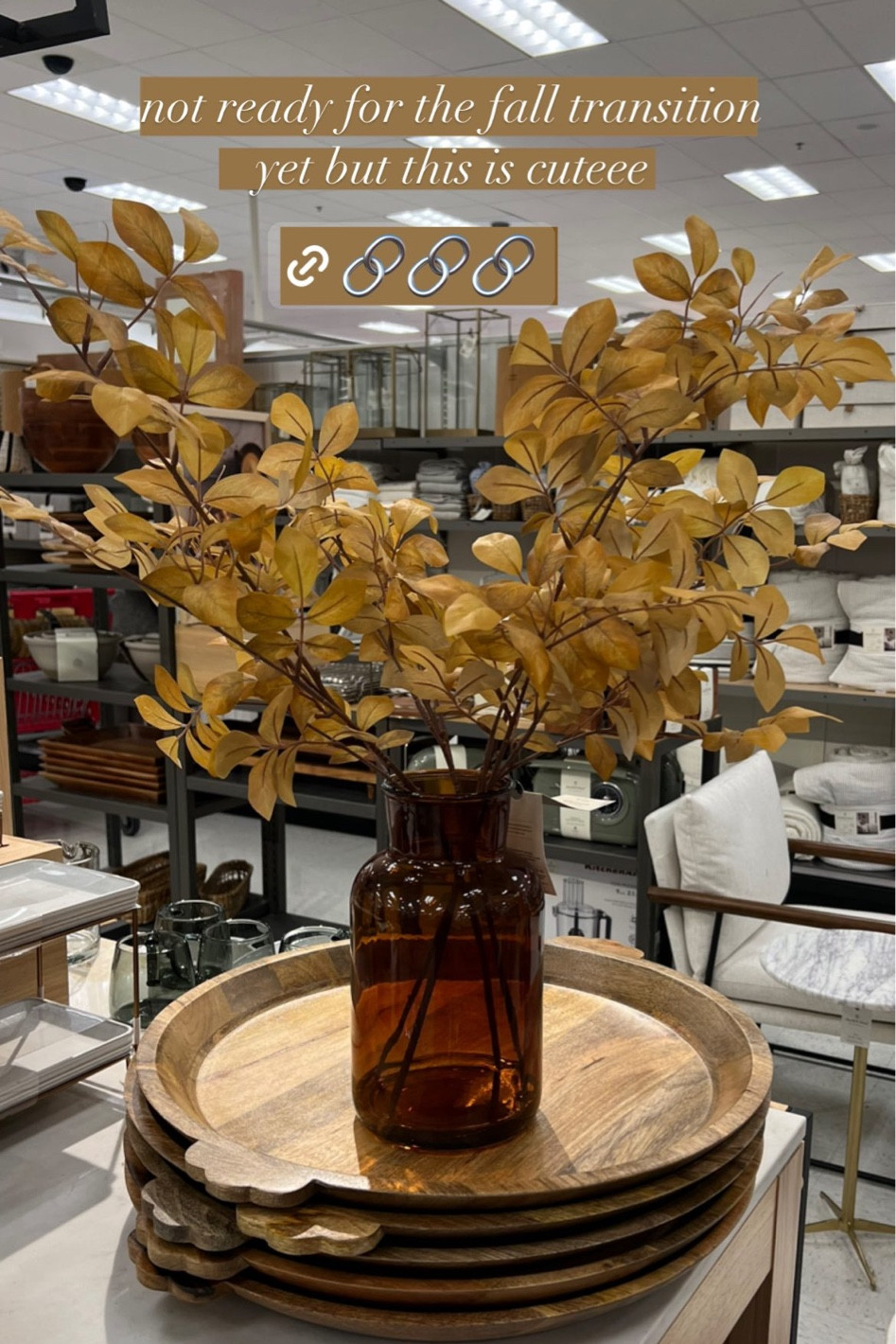 Cute & affordable fall floral arrangement. Would be perfect on a dining room or kitchen table

Fall decor 
Target find 
Fall stems
Fall home decor 
Fall table decorations 
Fall vase 
Amber vase 

#LTKSeasonal #LTKunder50 #LTKhome