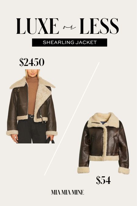 Luxe or less shearling moto jacket
Walmart shearling lined jacket
Revolve shearling jacket 

#LTKfindsunder100 #LTKSeasonal #LTKstyletip