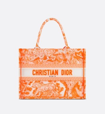 Fluorescent Orange Toile de Jouy Transparent Canvas (36 x 27.5 x 16.5 cm) | Dior Couture