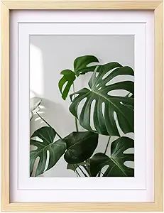 Egofine 12x16 Picture Frames Natural Wood Frames with Plexiglass, Display Pictures 9x12/11x14 wit... | Amazon (US)