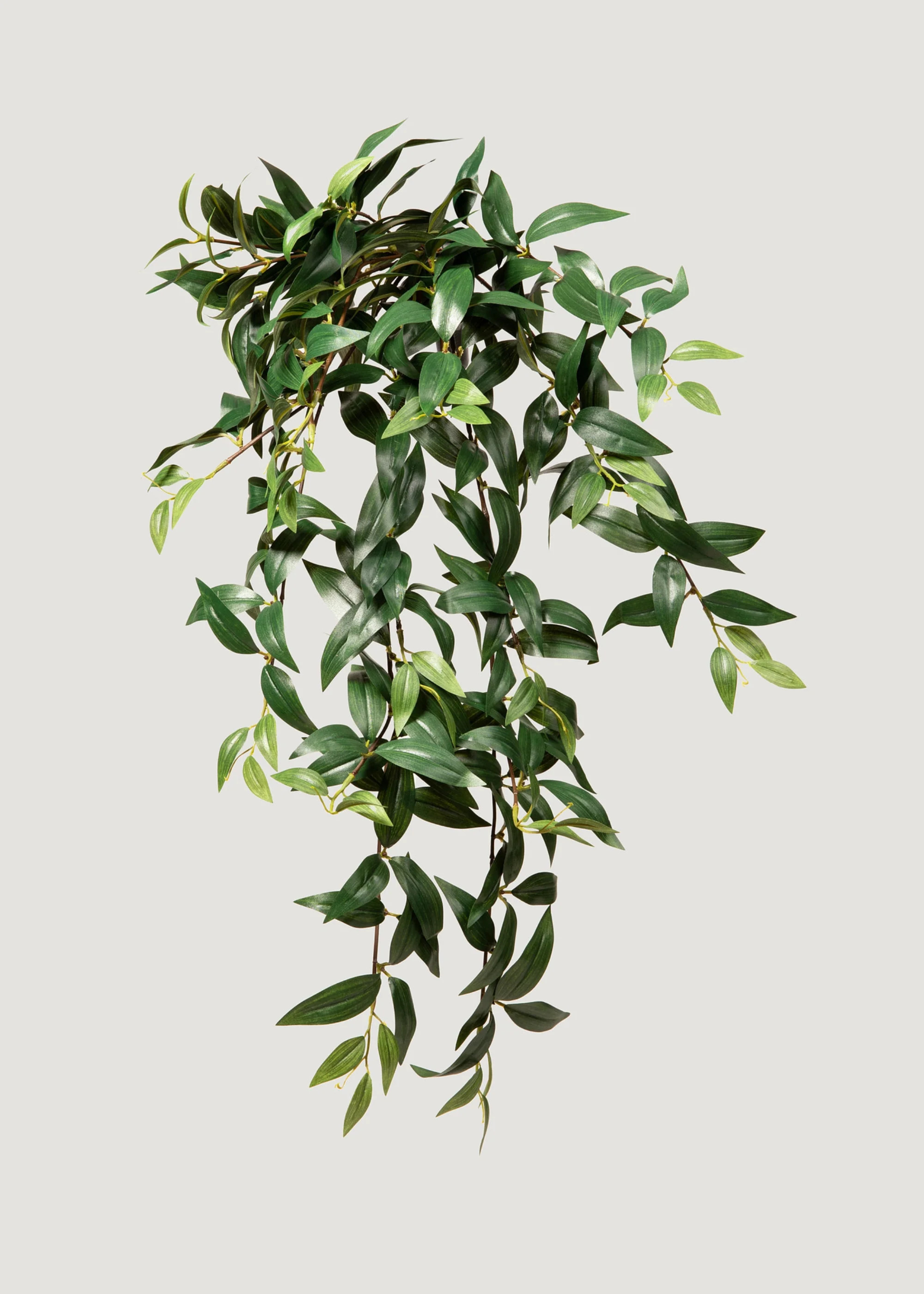 Fake Ruscus Hanging Plant | Shop Artificial Plants at Afloral | Afloral