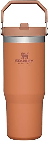 Stanley IceFlow Stainless Steel Tumbler with Straw, Vacuum Insulated Water Bottle for Home, Offic... | Amazon (US)