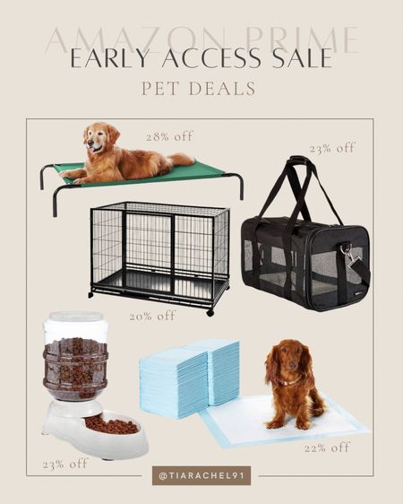 Amazon pet products now on sale for prime day 

#LTKsalealert #LTKxPrimeDay #LTKhome