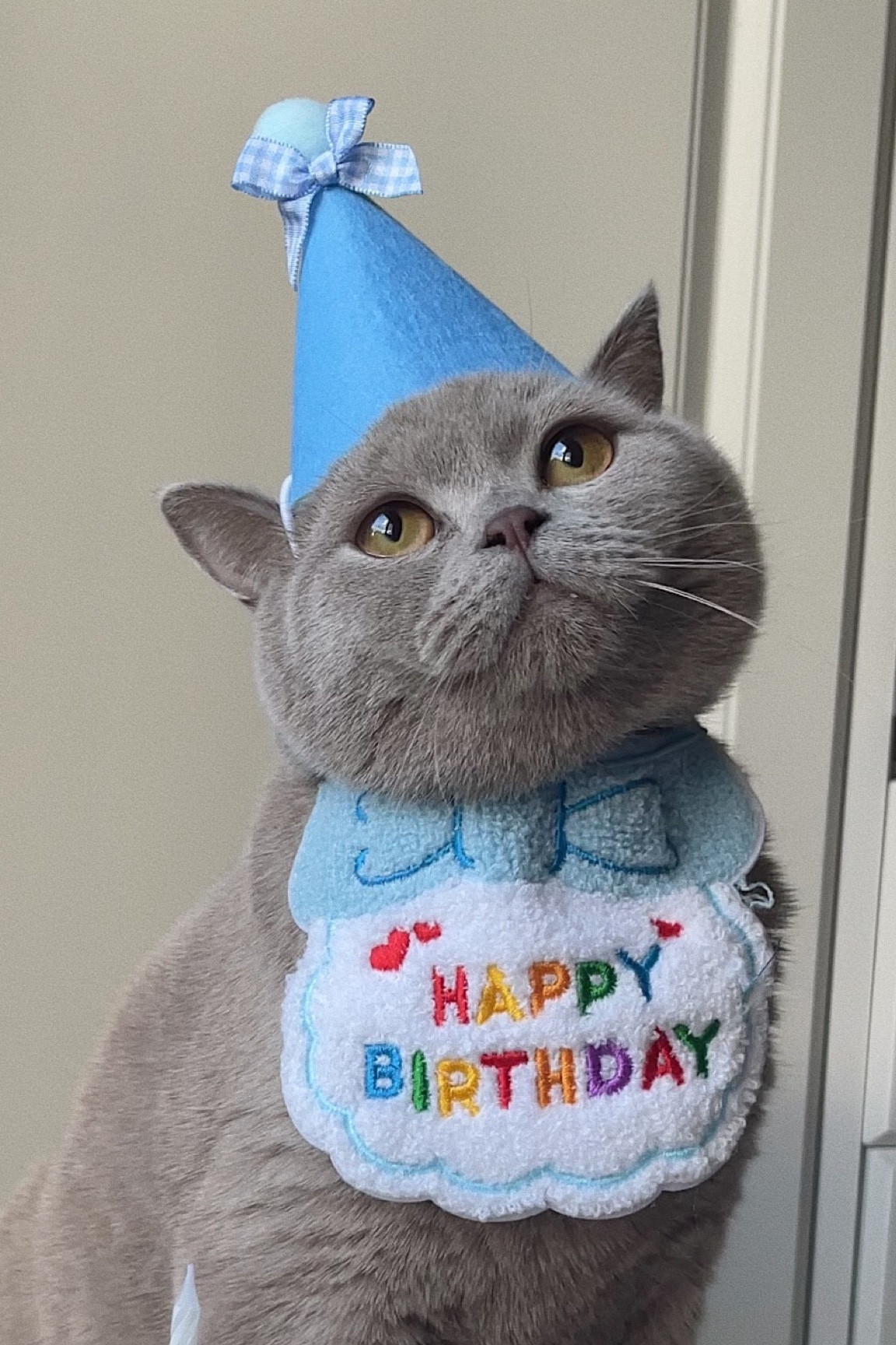 simple and cute birthday hat with bib! 

#LTKstyletip #LTKunder50 #LTKFind