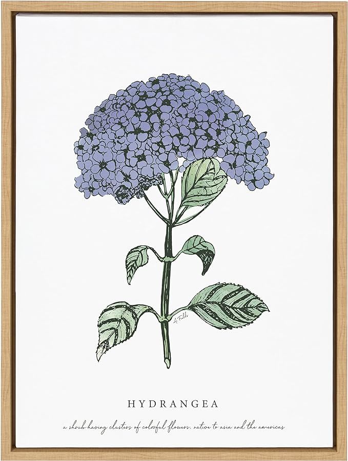 Kate and Laurel Sylvie Blooming Hydrangea Framed Canvas Wall Art by Statement Goods, 18x24 Natura... | Amazon (US)