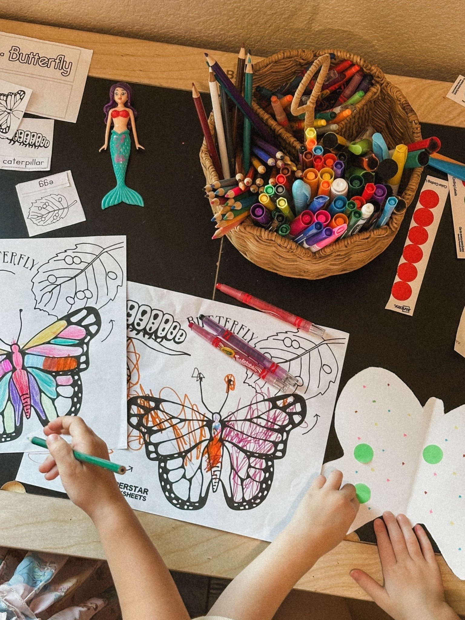 Kitchen caddie I’m using as a coloring organizer for homeschool days🖍️

#LTKmomlife #LTKHome #LTKKids