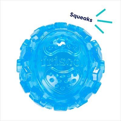 Frisco Fetch TPR Squeaking Ball Dog Toy | Chewy.com