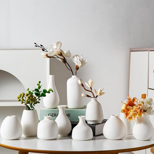 Tanvecle White Ceramic Bud Vase Set of 11, Small Vases for Pampas Grass, Flowers, Mini Vases for Modern Home Decor, Minimalist Decor, for Living Room, Dining Table & Shelves | Amazon (US)