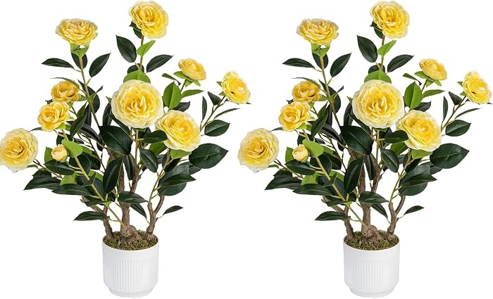 2 Pack Artificial Camellia Tree with White Pot, 24" Faux Potted Plants for Indoor Outdoor Decor, ... | Amazon (US)