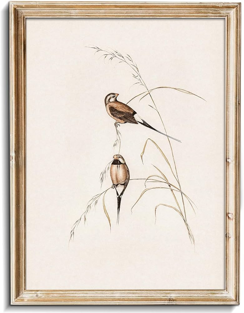 uniro Vintage Bird Wall Art Farmhouse Retro Pictures Canvas Sparrow Birds Poster Abstract Avian W... | Amazon (US)