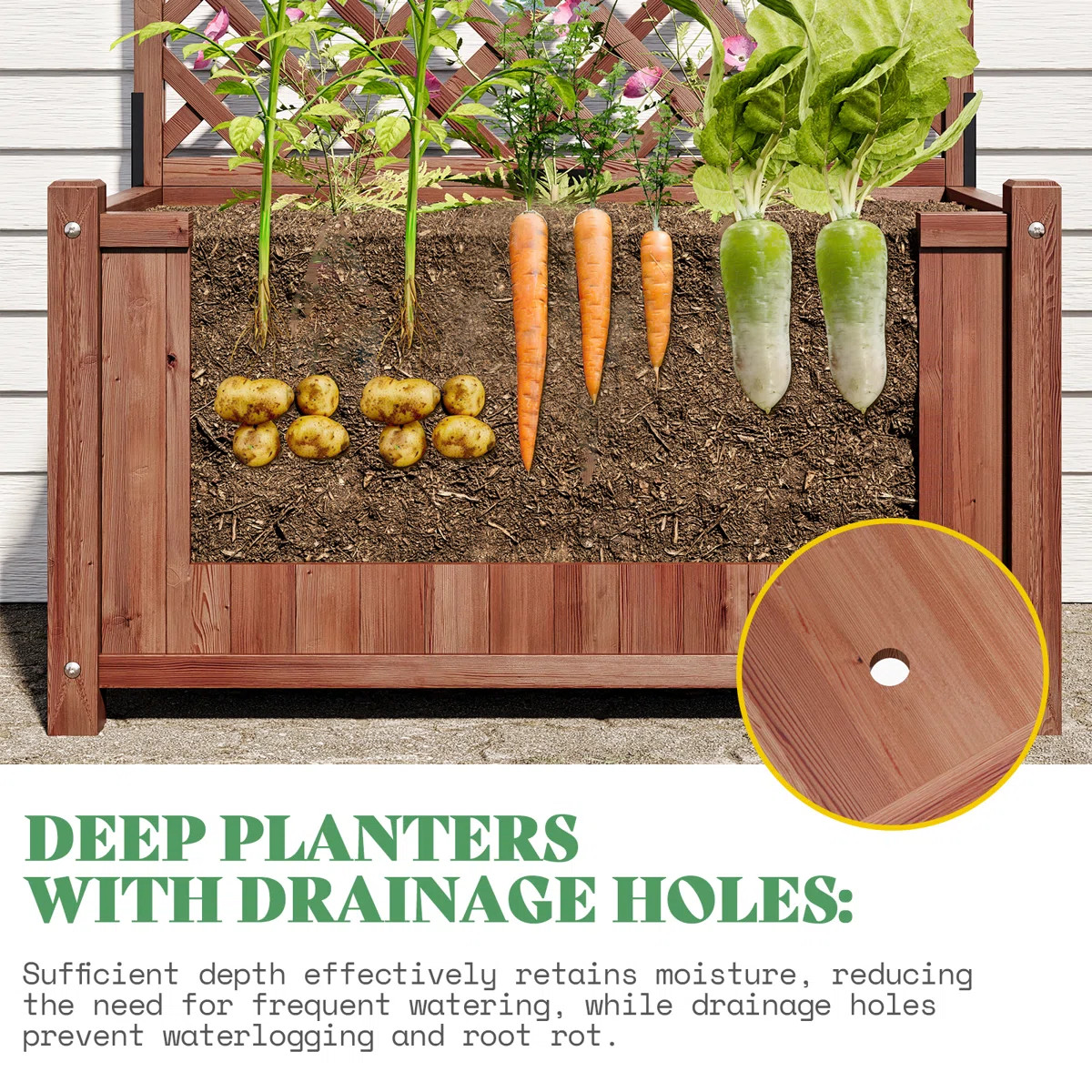 Set of 2 Raised Garden Beds with Trellis, Natural Wood Planter Boxes with Drainage Holes for Vege... | Wayfair North America