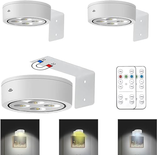 MIOBLUE 3Pack Picture Light Battery Operated Painting Lights, Wireless Magnetic Display Art Light with Remote Controls,Dimmable Timer Portrait Light for Art Frame Artworking,Wall Decor Puck Light | Amazon (US)