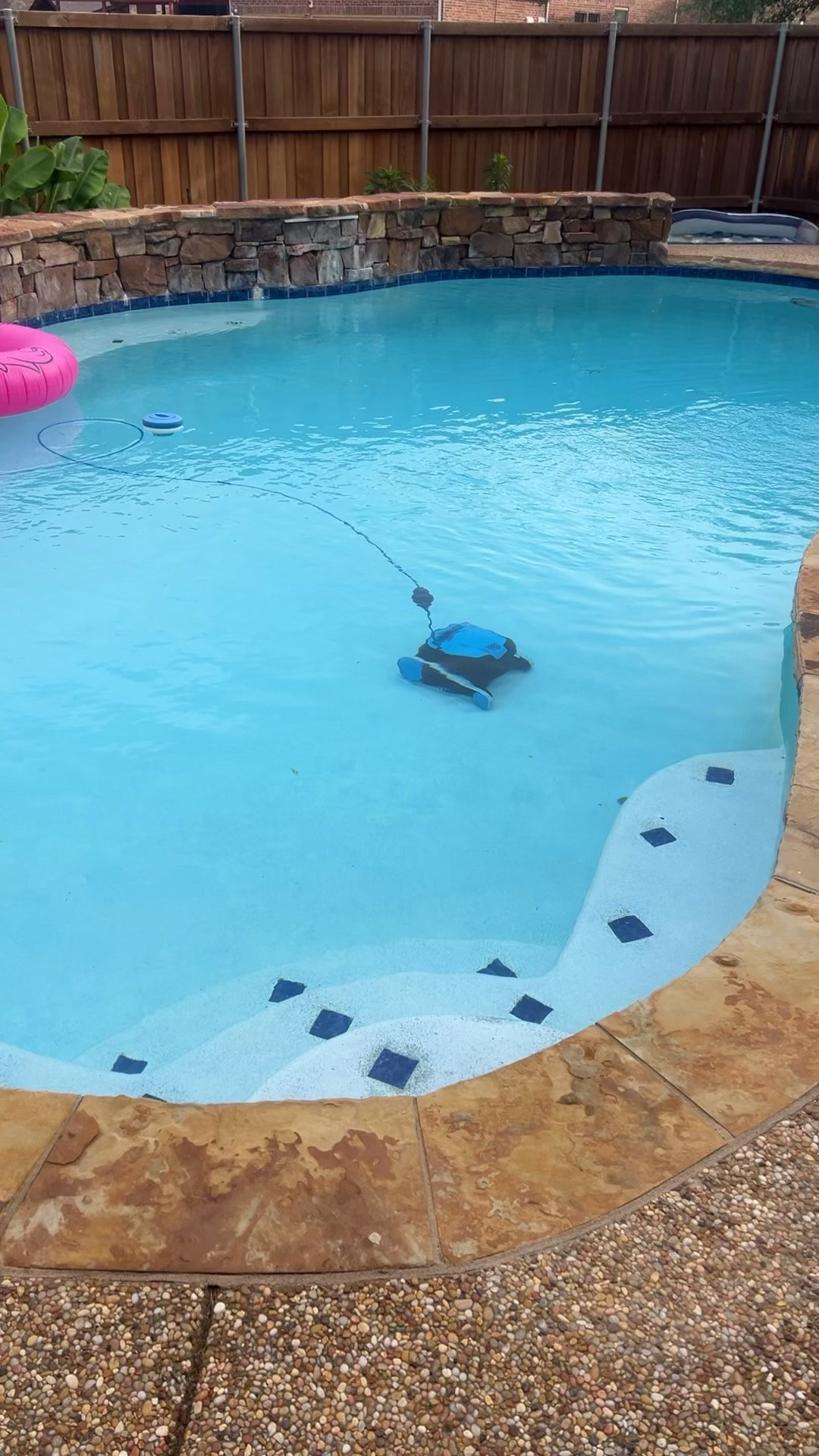Dolphin pool cleaner  

#LTKHome