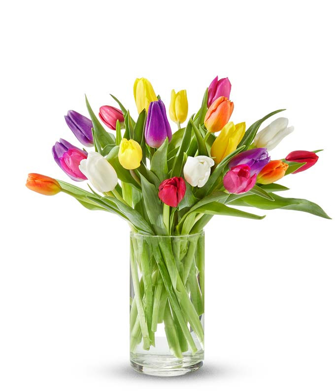 Tulip Rainbow at From You Flowers | From You Flowers