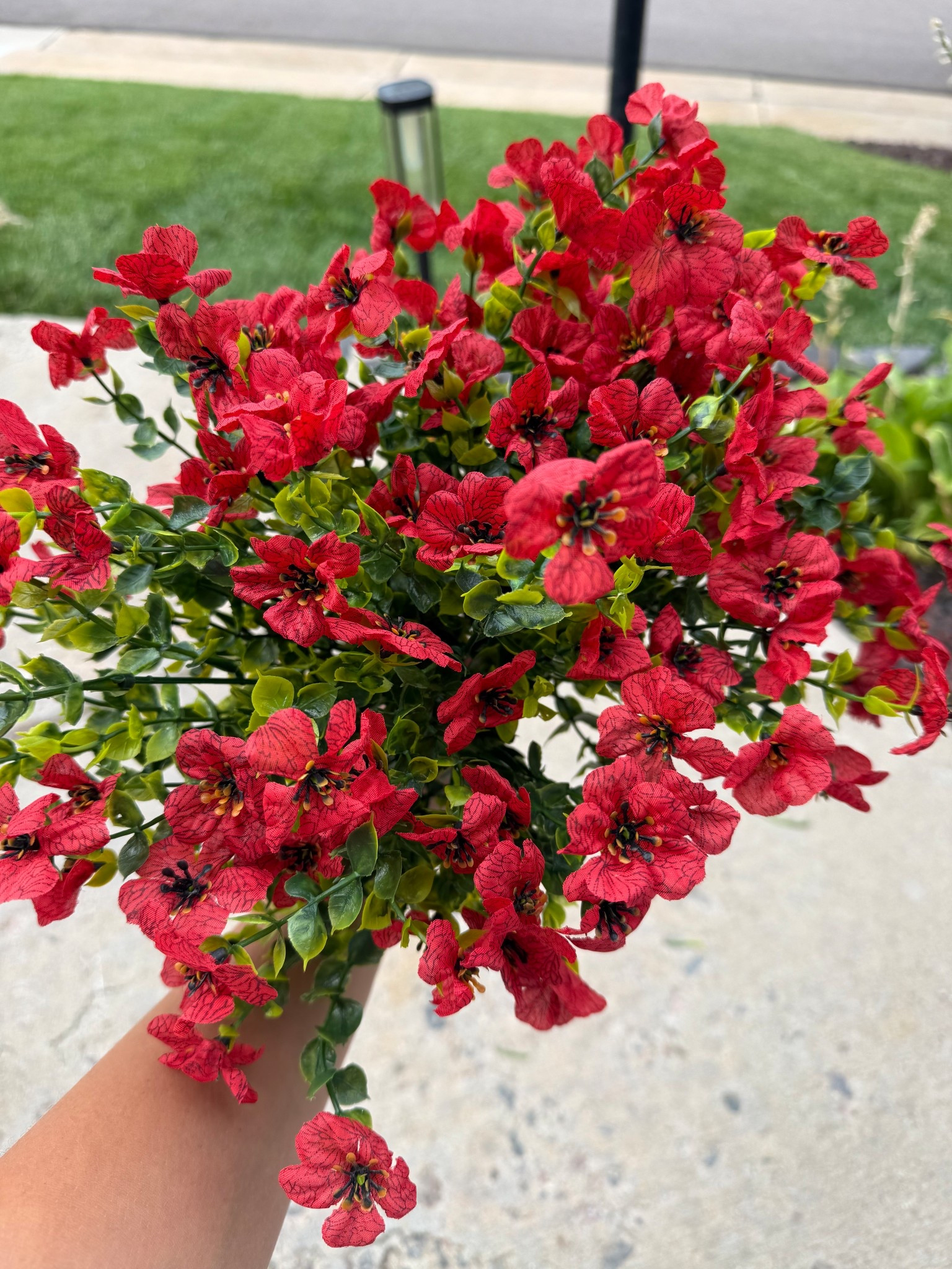 Red foam mums from Amazon! I ordered two packages and they are a little over a $20 each. They actually look pretty good and perfect if you would like to start decorating early for fall and want some Mums out. 

#LTKSeasonal #LTKHome #LTKFindsUnder50