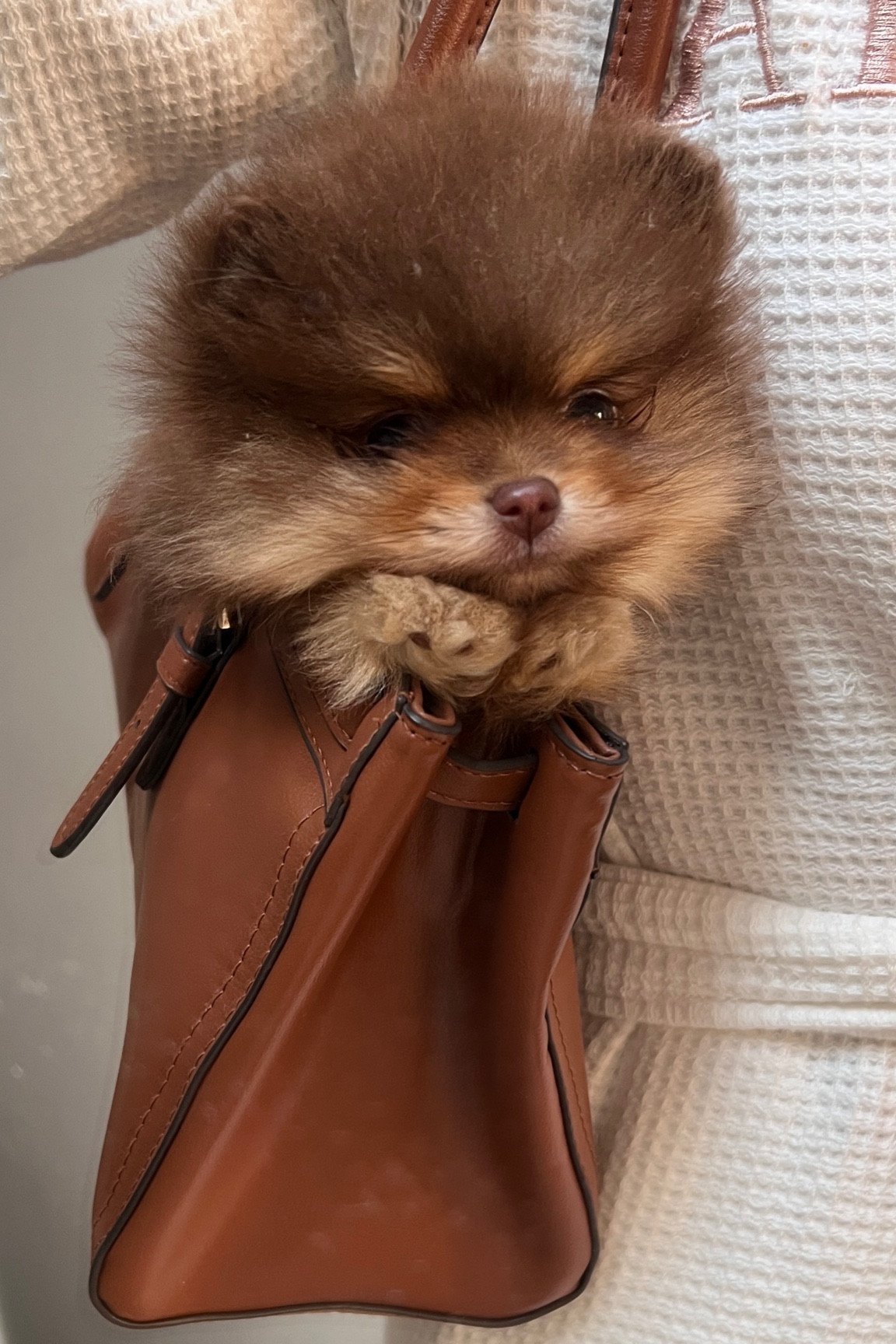 Perfect puppy carrying purse! It looks vintage/like real leather. 