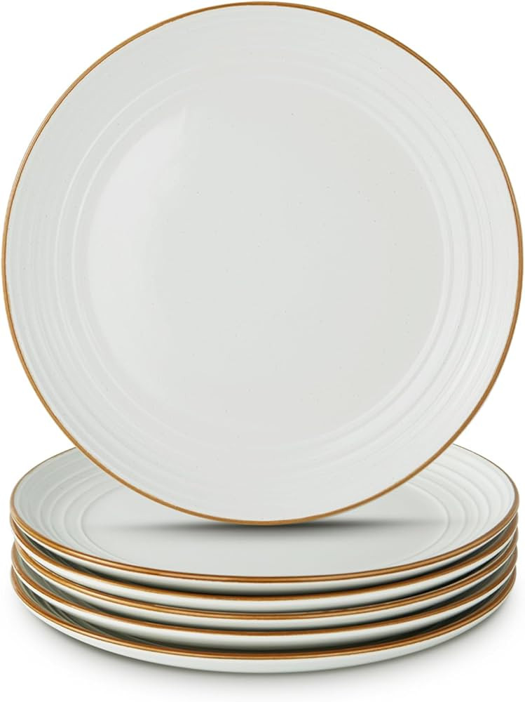 famiware Jupiter Salad Plates Set of 6, 8 Inch Dessert Plates, Microwave and Dishwasher Safe, Scr... | Amazon (US)