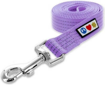 Pawtitas Nylon Reflective Dog Leash | Chewy.com
