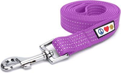 Pawtitas Nylon Reflective Dog Leash | Chewy.com