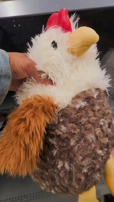 These chickens ARE SO DANG CUTE!!

#LTKstorytime #LTKKids #LTKHome