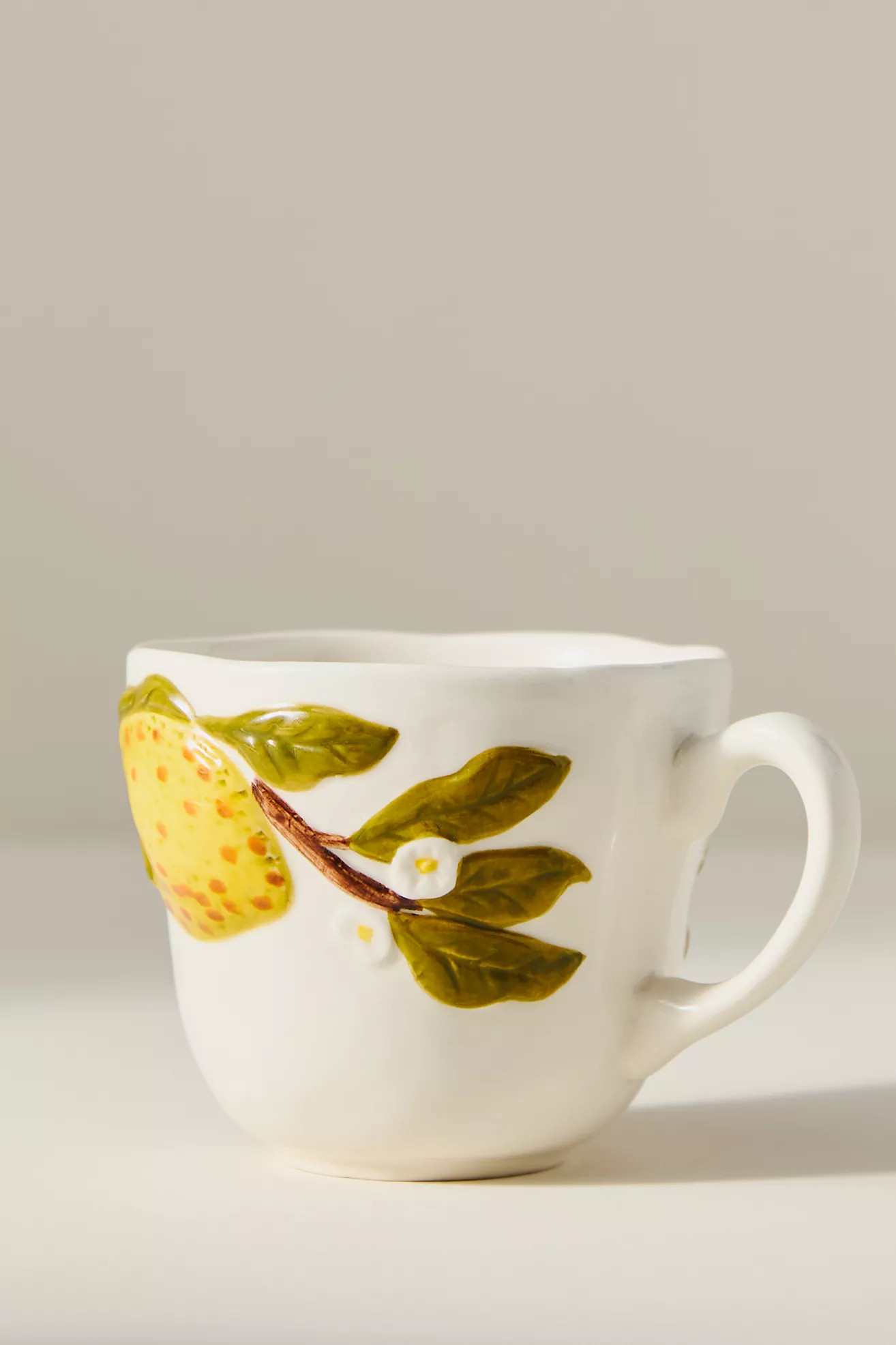 Foster Stoneware Mug | Anthropologie (US)