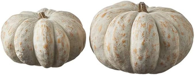 RAZ Imports 2021 The Gathering Place 10-inch Distressed Pumpkins Figurine, Set of 2 | Amazon (US)