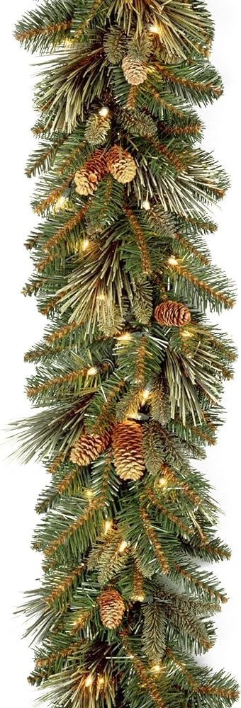 National Tree 9 Foot by 10 inch Carolina Pine Garland with Flocked Cones and 100 Battery Operated... | Amazon (CA)