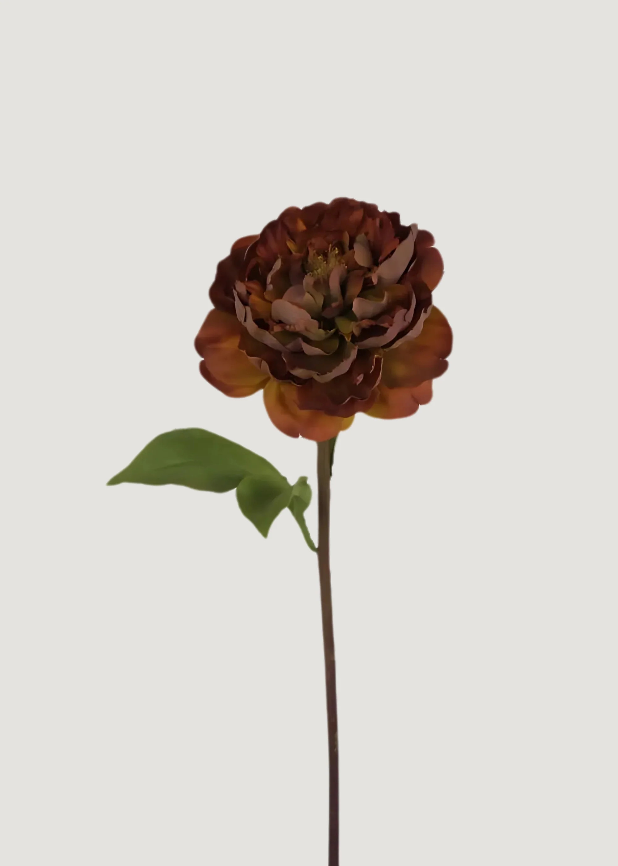 Peony Stem in Rust | Elevated Artificial Fall Flowers | Afloral | Afloral