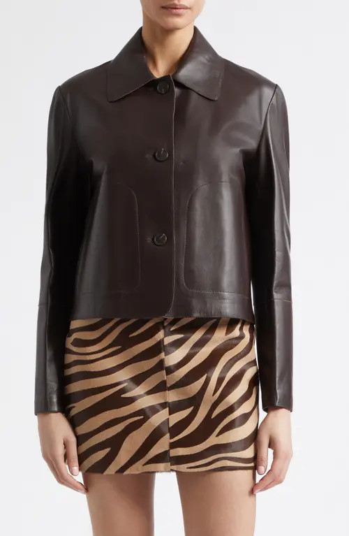 ARMA Emy Leather Jacket in Coffee Bean at Nordstrom, Size 42 | Nordstrom