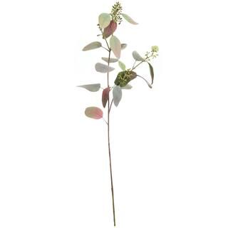 Purple & Green Seeded Eucalyptus Stem by Ashland® | Michaels Stores