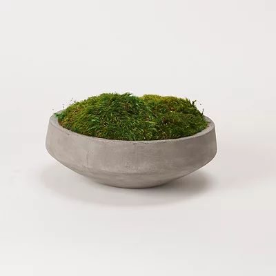Preserved Mood Moss in Round Cement Bowl | Kirkland's Home