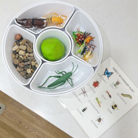 Insect sensory tray 


#LTKkids #LTKfamily