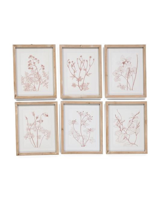 Set Of 6 11x14 Botanicals In Blush Prints | TJ Maxx