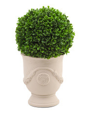 13.5in Single Ball Topiary In Pot | Plants & Planters | Marshalls | Marshalls