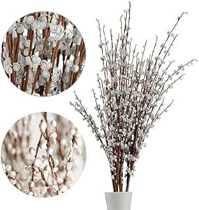 5Pcs 75CM Long Artificial Flower Winter Jasmine Folk Pip Berry Plant Dry Branches for Wedding Hom... | Amazon (US)
