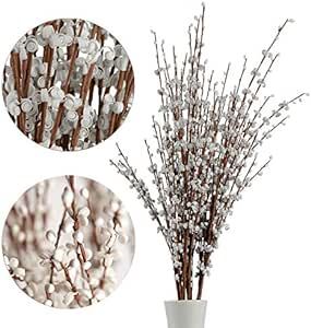 5Pcs 75CM Long Artificial Flower Winter Jasmine Folk Pip Berry Plant Dry Branches for Wedding Hom... | Amazon (US)